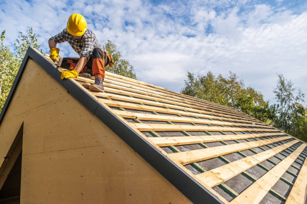 Quick and Trustworthy Emergency Roof Repair Services in Yalaha, FL